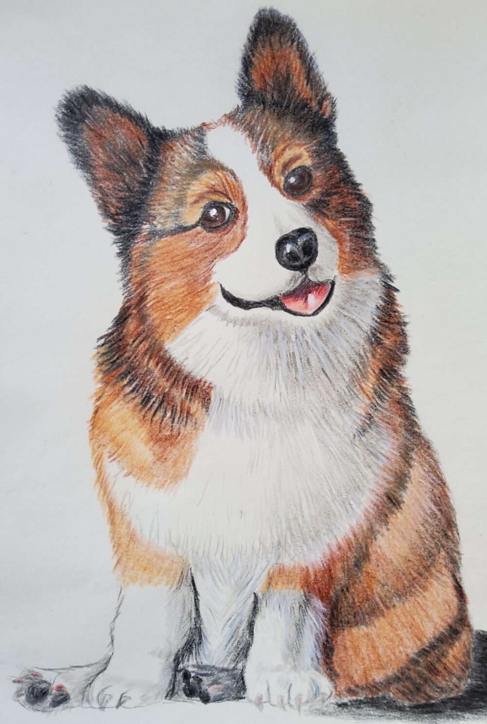 Original Drawing: Rupert, the Corgi - Image 3