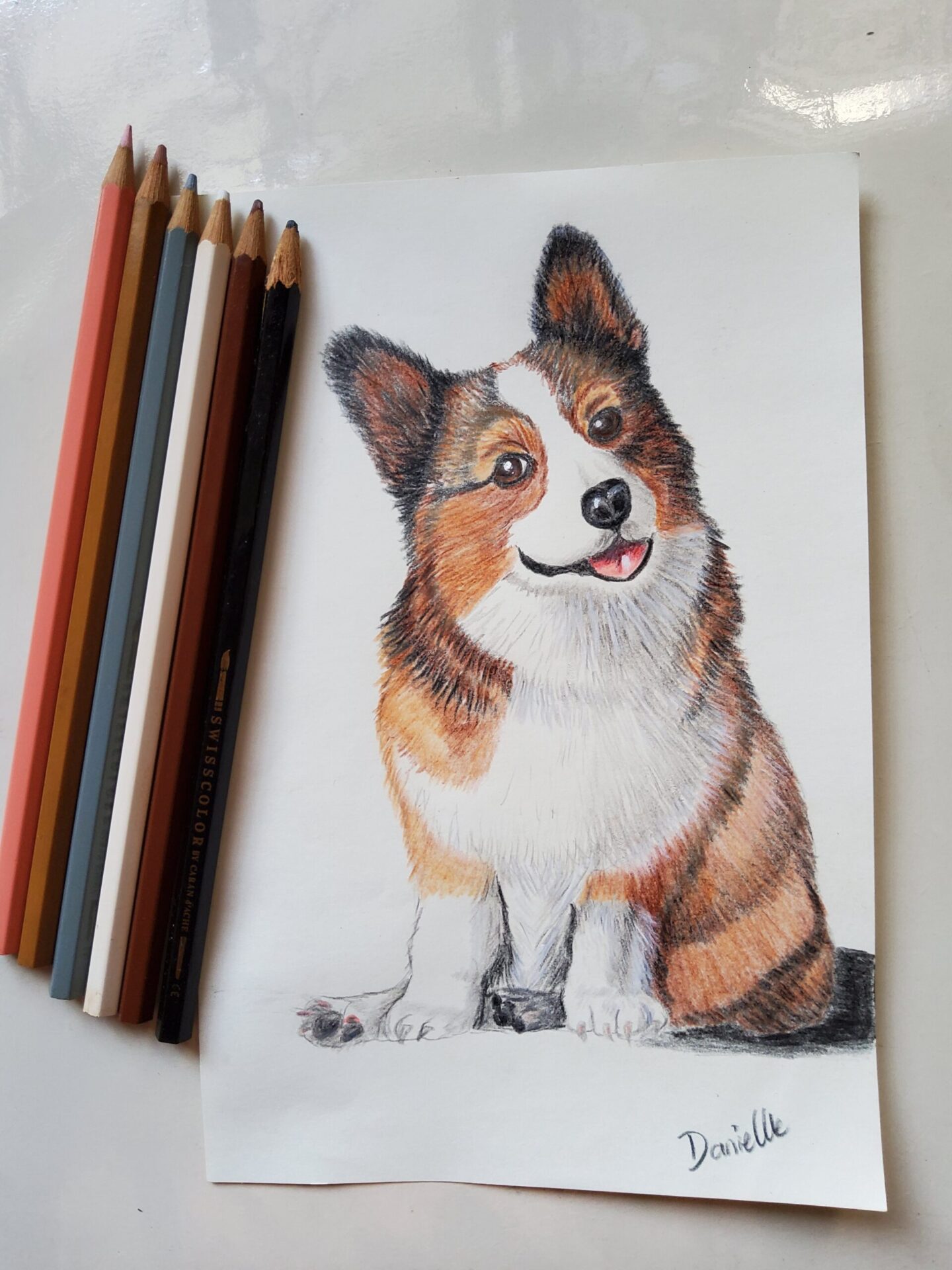 Danielle Art Original Acrylic and Oil Paintings Colored pencil drawing of a smiling corgi dog.