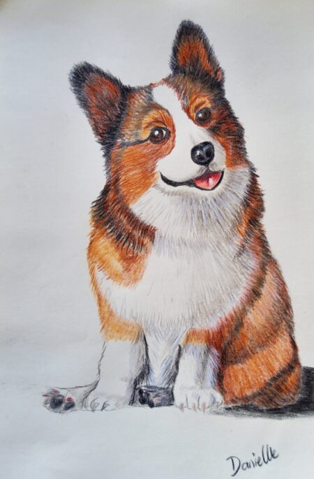Danielle Art Original Acrylic and Oil Paintings Original Drawing: Rupert, the Corgi. A charming, hand-drawn portrait of a friendly corgi dog.