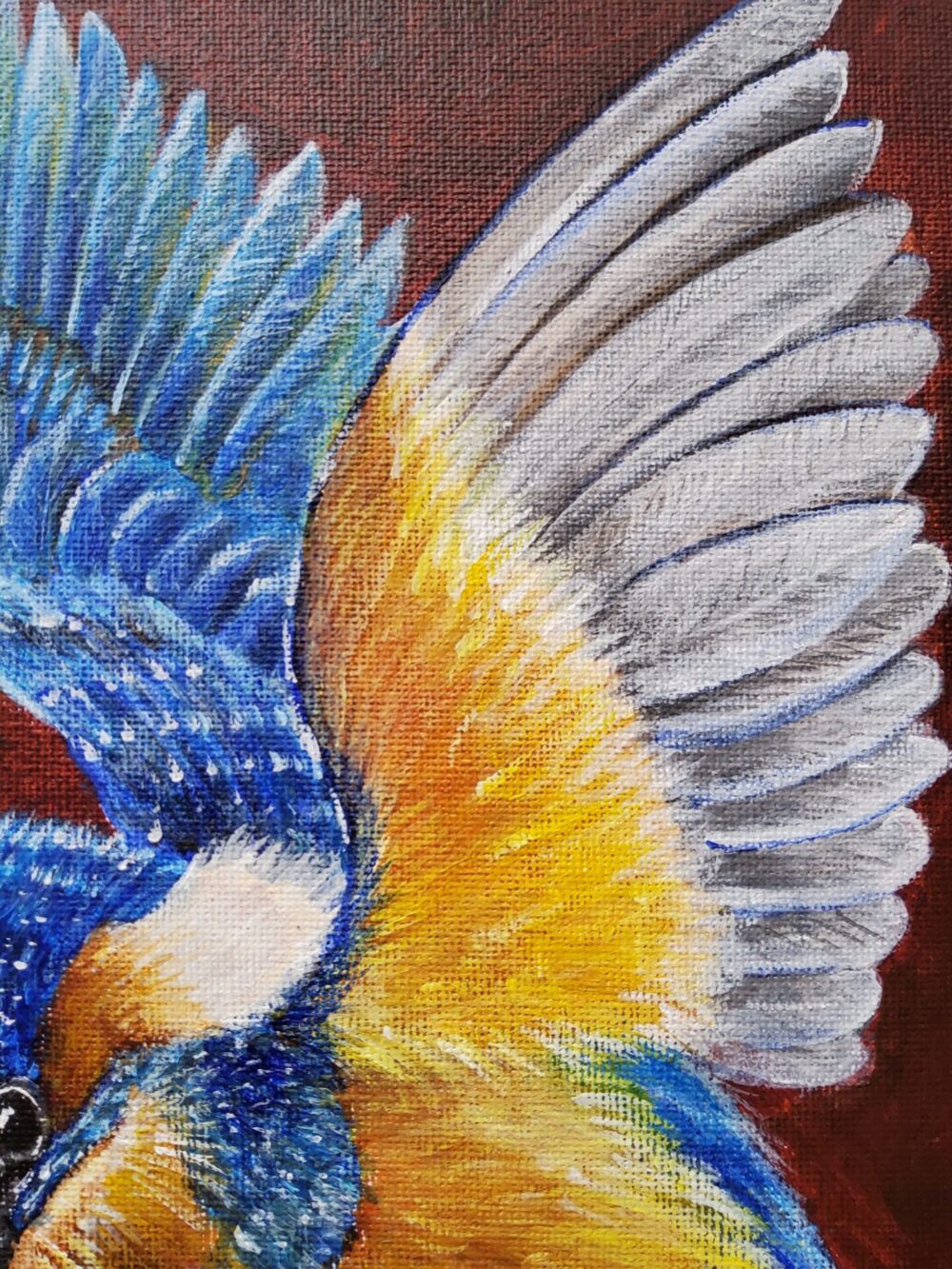 Original Acrylic Painting - Kingfisher - Image 4