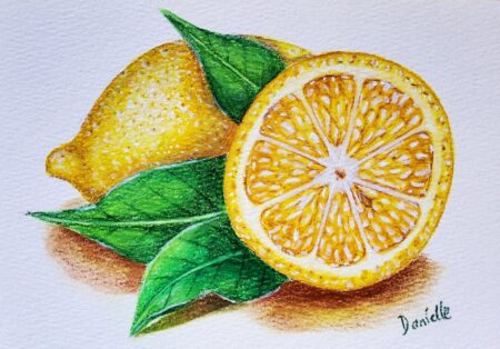 Danielle Art Original Acrylic and Oil Paintings Original Drawing: Watercolor painting of lemons with leaves, one sliced open