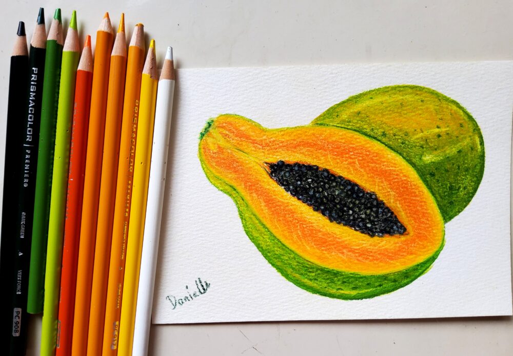 Original Drawing - Papaya - Image 3