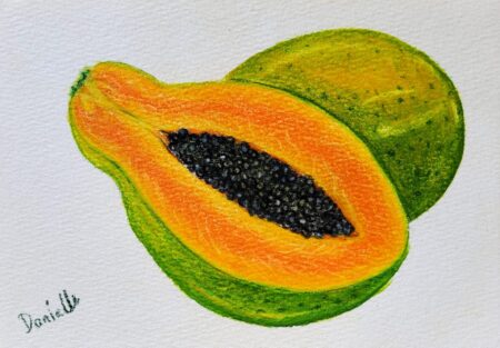 Danielle Art Original Acrylic and Oil Paintings Watercolor painting of a halved papaya with seeds next to a whole papaya.