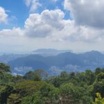 Danielle Art Original Acrylic and Oil Paintings Scenic view from Penang Hill, Malaysia, featuring lush greenery, cityscape, and a cloudy sky.