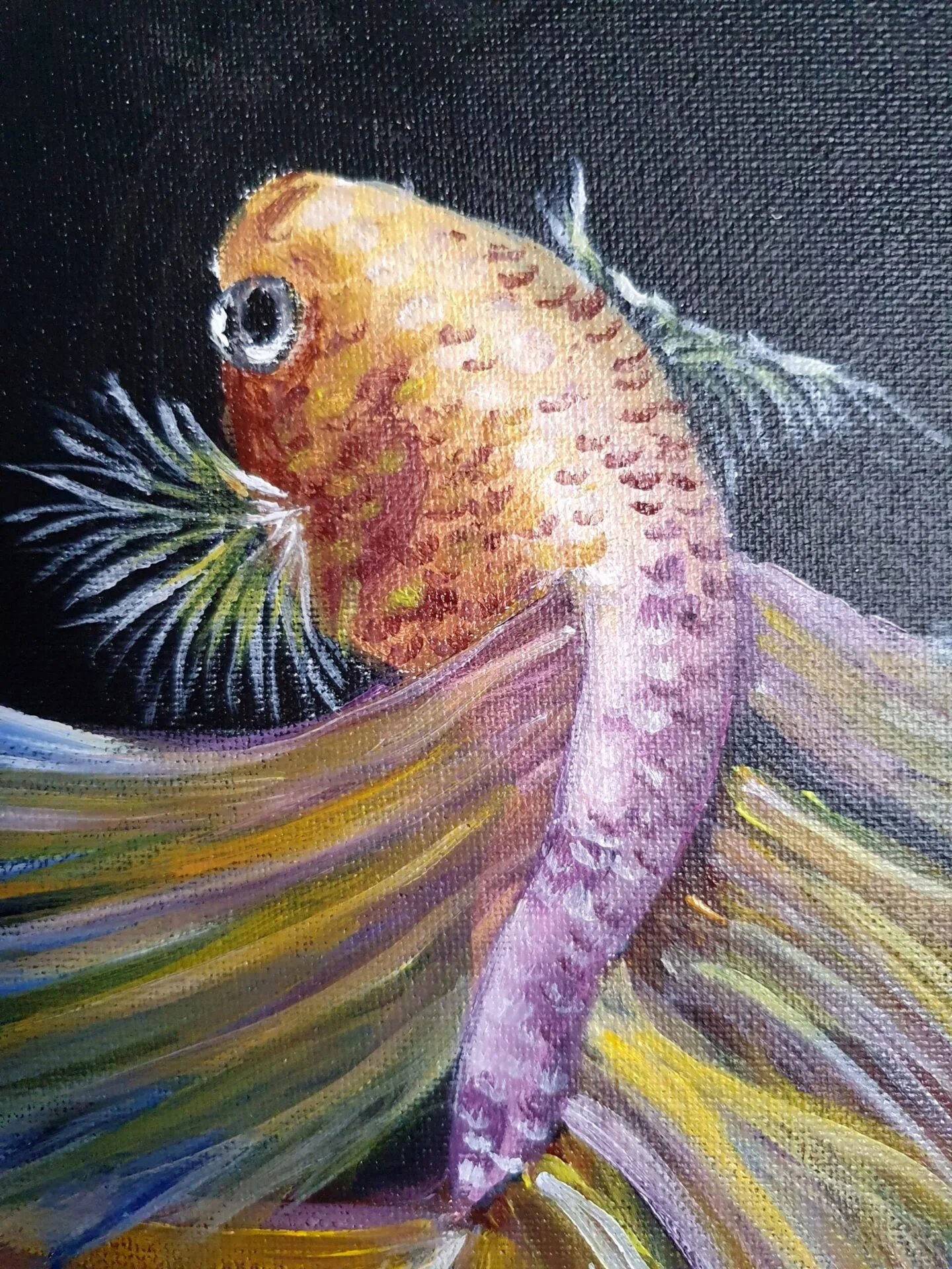 Danielle Art Original Acrylic and Oil Paintings Colorful betta fish painting with flowing fins on black background