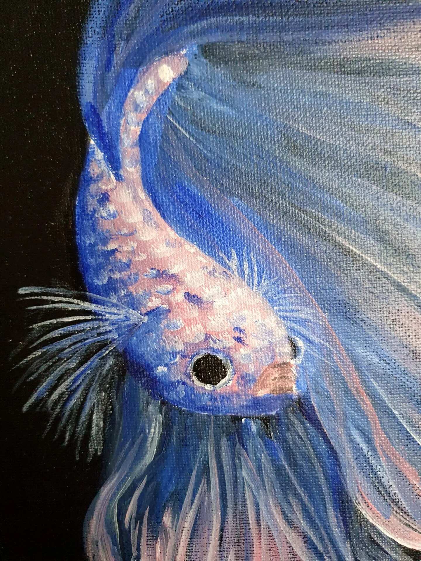 Danielle Art Original Acrylic and Oil Paintings Acrylic painting of a blue and pink betta fish with flowing fins on a black background.