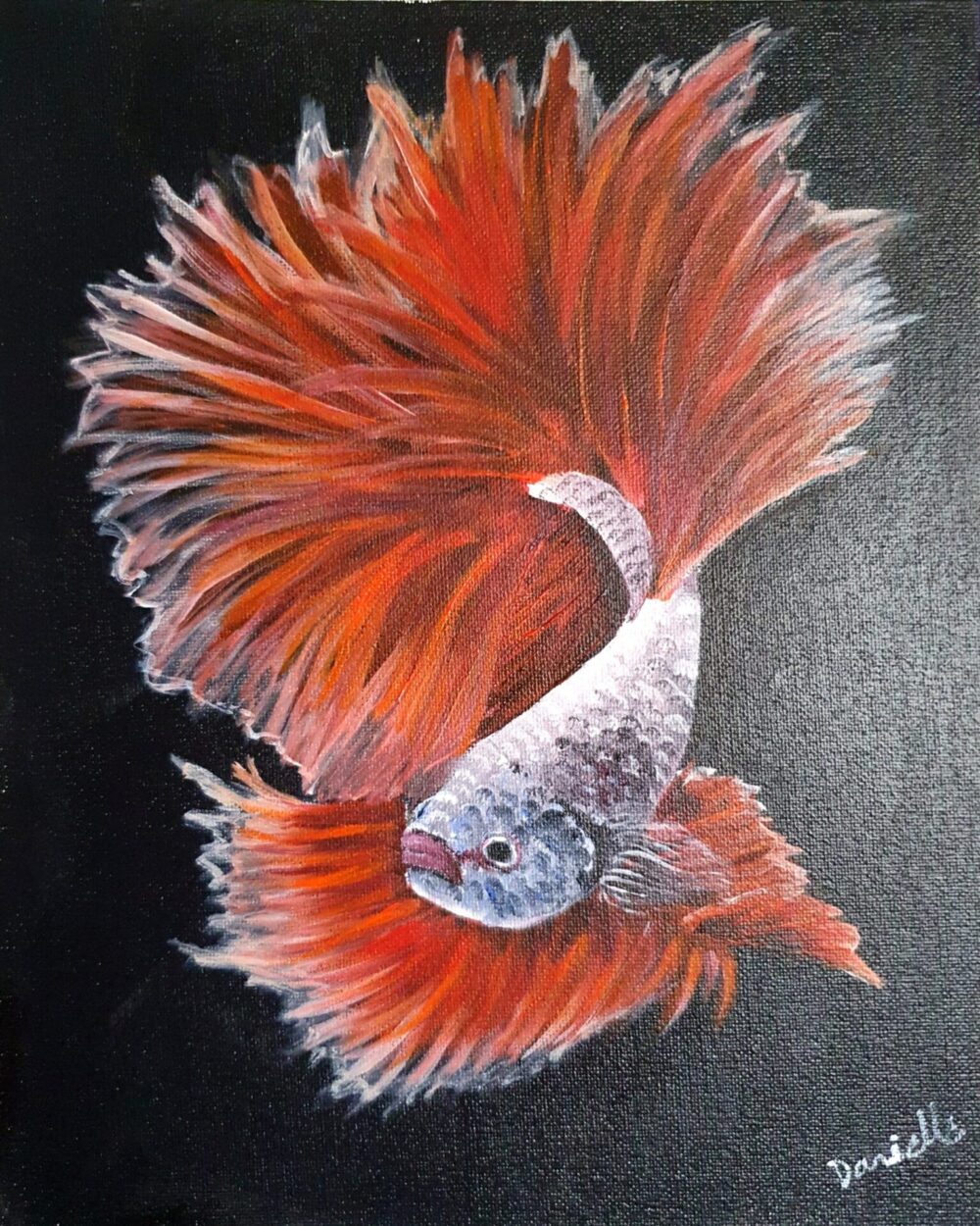 Fighting Fish 1