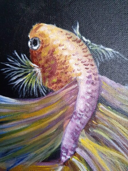Danielle Art Original Acrylic and Oil Paintings Colorful betta fish painting with flowing fins on black background