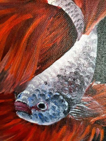 Danielle Art Original Acrylic and Oil Paintings Painting of a vibrant red and white Betta fish.
