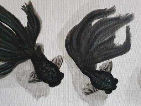 Danielle Art Original Acrylic and Oil Paintings Two black moor goldfish swimming. Elegant black fish with flowing fins.