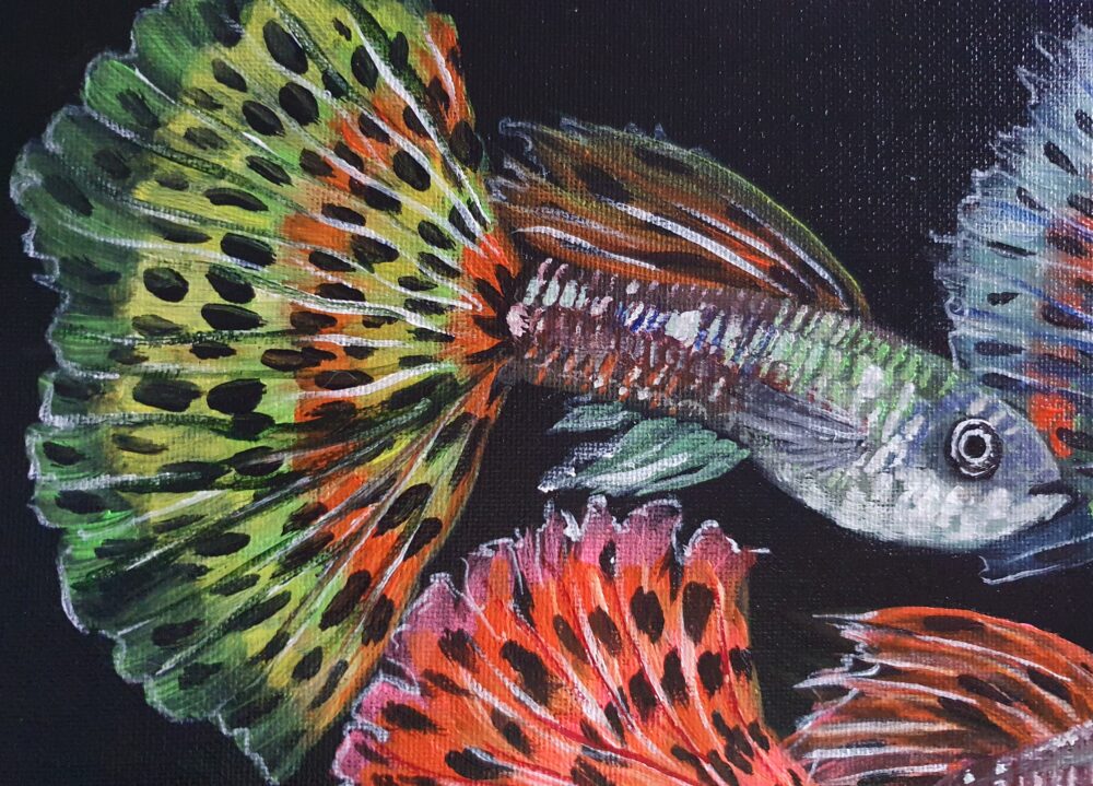 Original Acrylic Painting - Guppies - Image 3