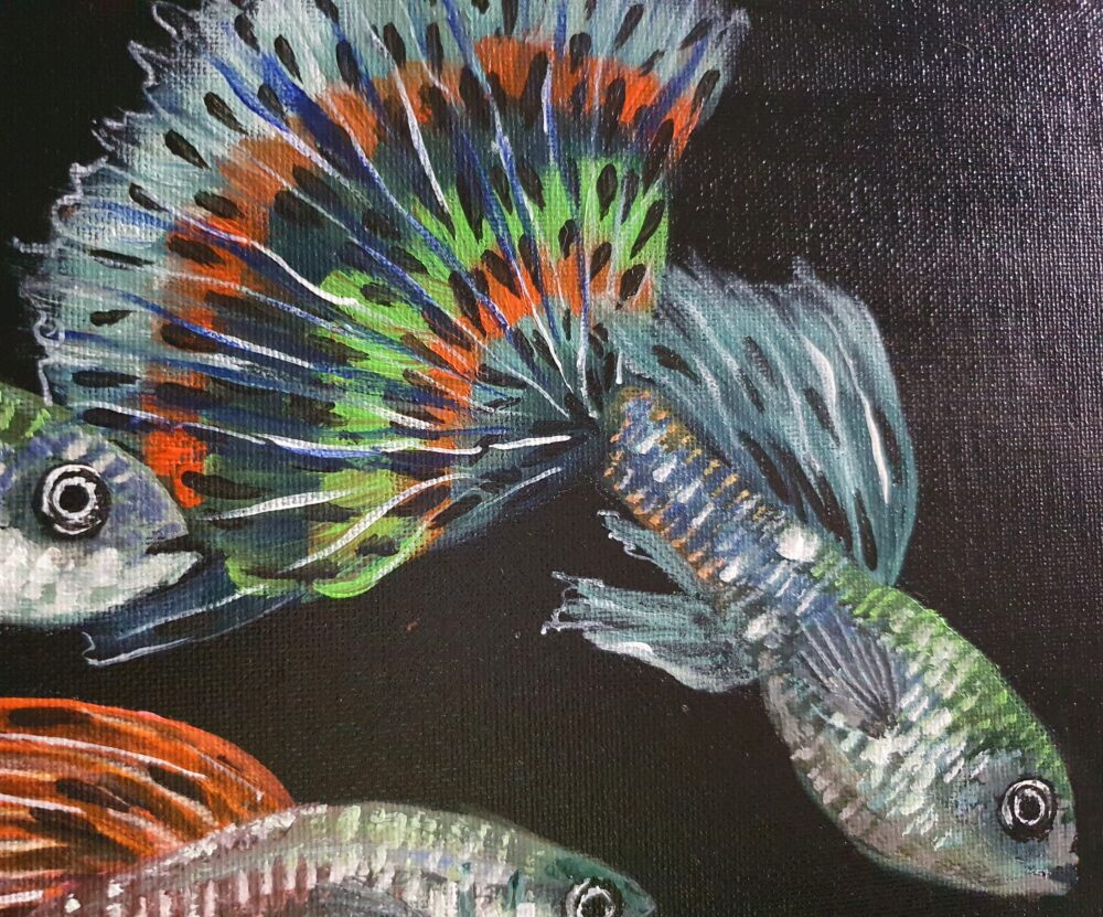 Original Acrylic Painting - Guppies - Image 4