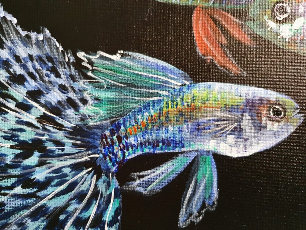 Original Acrylic Painting - Guppies 2 - Image 4