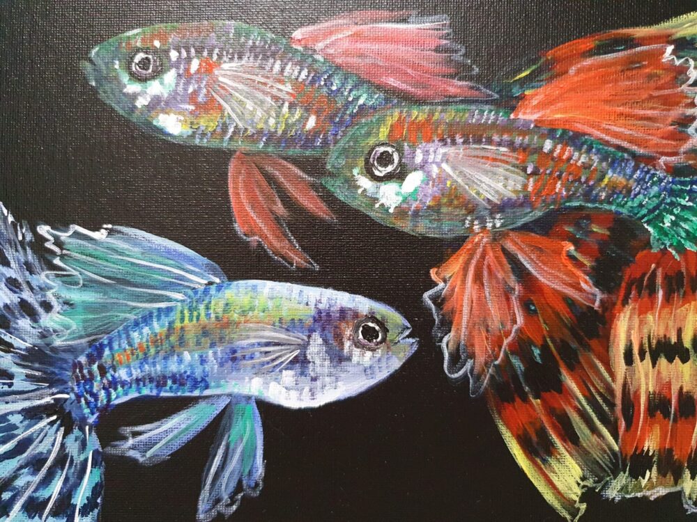 Original Acrylic Painting - Guppies 2 - Image 5