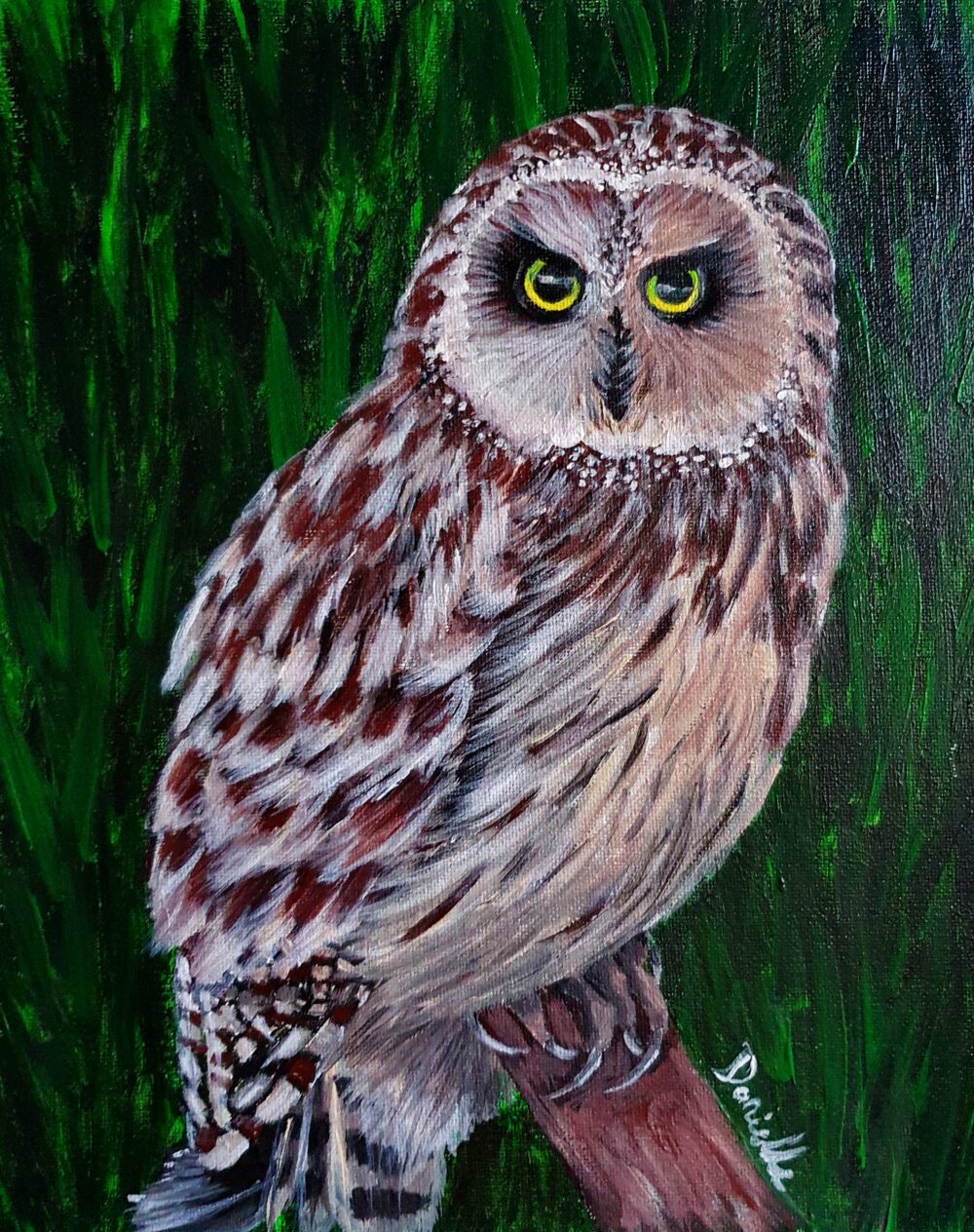 New Acrylic Painting - Owl