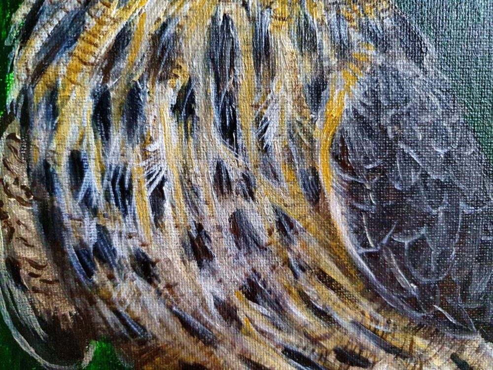 Original Acrylic Painting - Owl 2 - Image 4