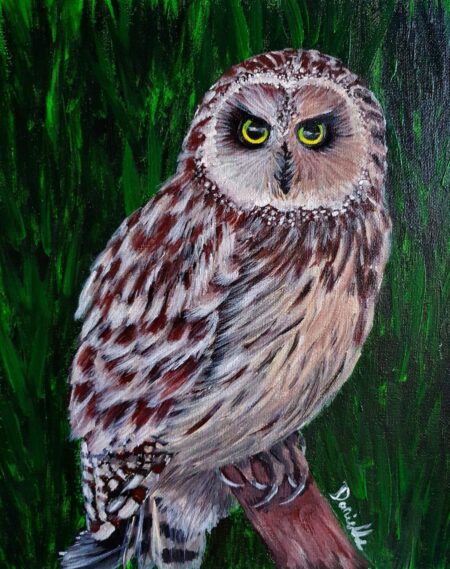 Danielle Art Original Acrylic and Oil Paintings New Acrylic Painting - Owl: Detailed portrait of a short-eared owl on a branch against a green backdrop.