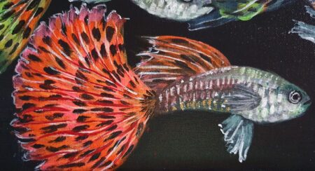 Danielle Art Original Acrylic and Oil Paintings Colorful guppy fish painting with vibrant orange tail and speckled body in a dark aquarium setting.