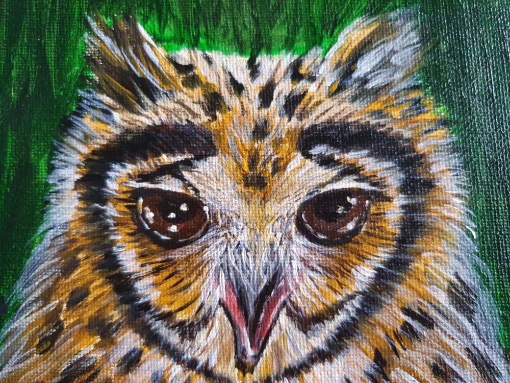 New Original Painting - Owl 3 - Image 5