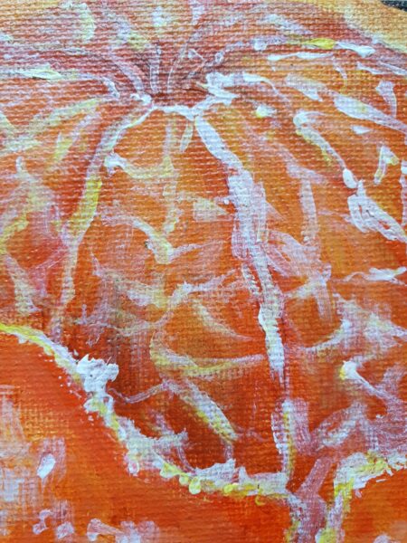Danielle Art Original Acrylic and Oil Paintings Original Acrylic Painting – Mandarin Orange 3: A vibrant, textured close-up of an orange with white and yellow details.