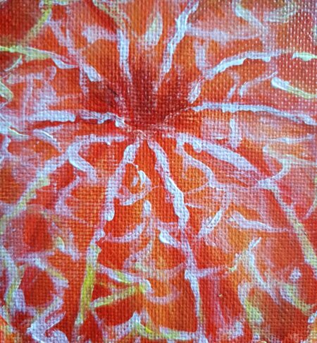 Danielle Art Original Acrylic and Oil Paintings Original Acrylic Painting – Mandarin Orange 3: Close-up of an orange with white and yellow accents.