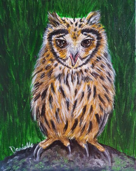 Danielle Art Original Acrylic and Oil Paintings New Original Painting – Owl 3: Close-up of a brown and white owl perched on a rock with a green background.