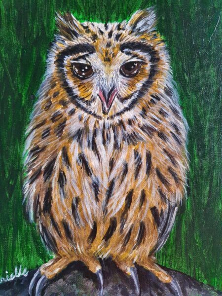 Danielle Art Original Acrylic and Oil Paintings Painting of a brown owl with large eyes, perched on a branch, by Danielle Siauw.