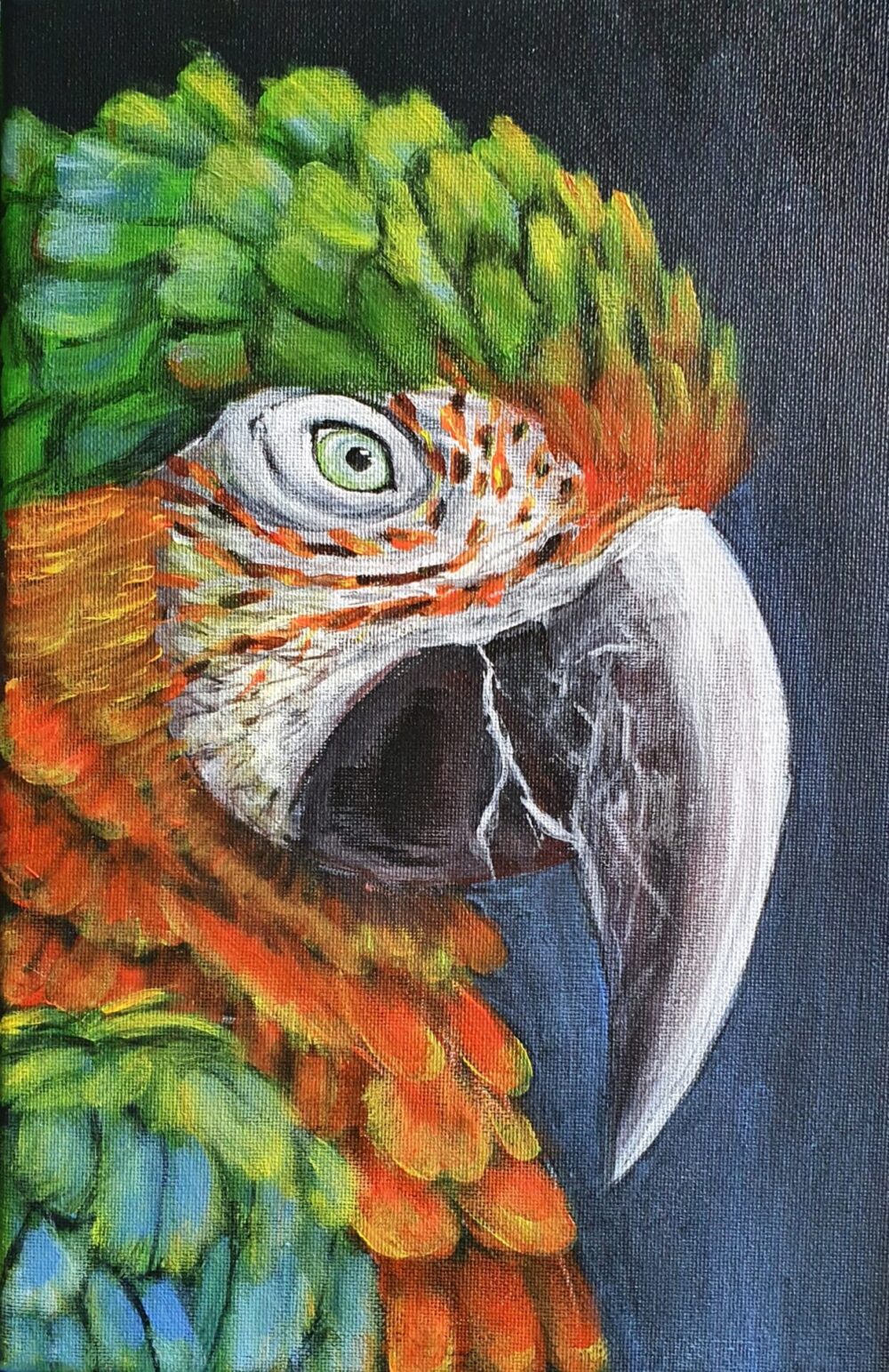 Original Acrylic Painting - Macaw