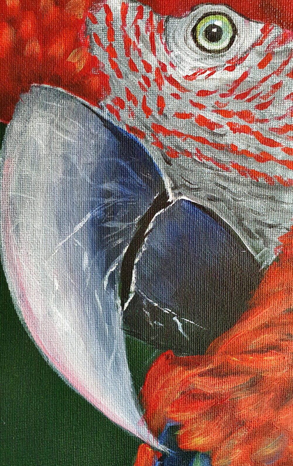 Original Acrylic Painting - Macaw II - Image 4