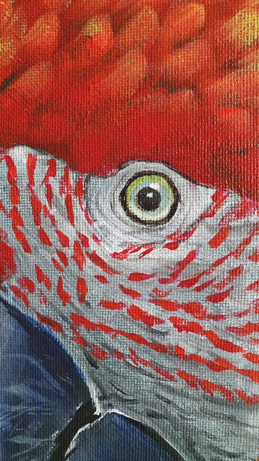 Original Acrylic Painting - Macaw II - Image 3