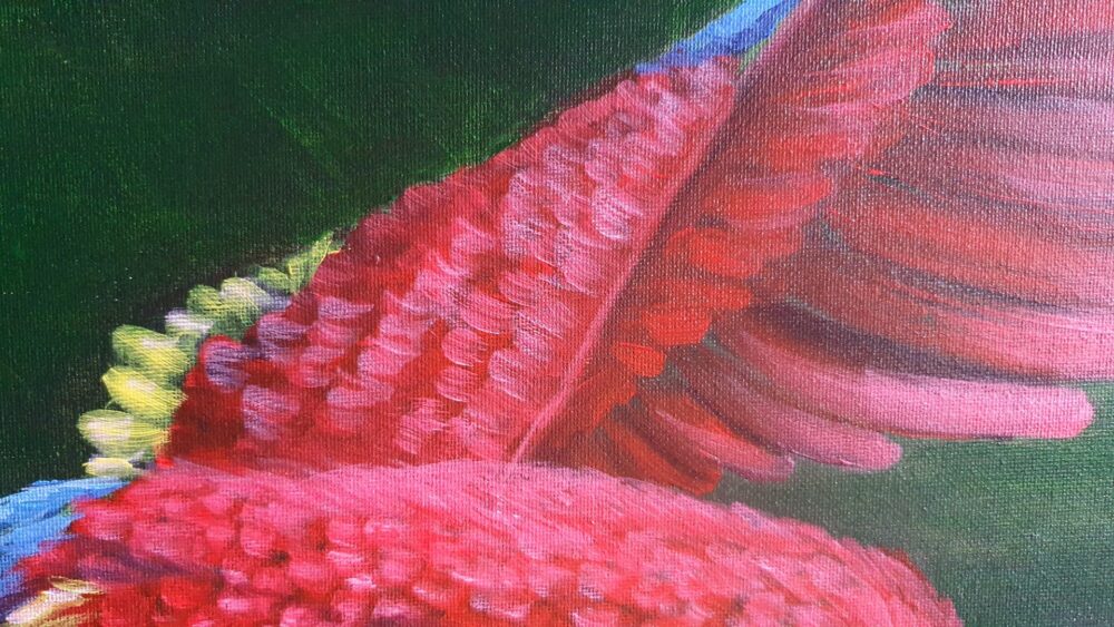 Original Acrylic Painting - Macaw takes Flight - Image 7