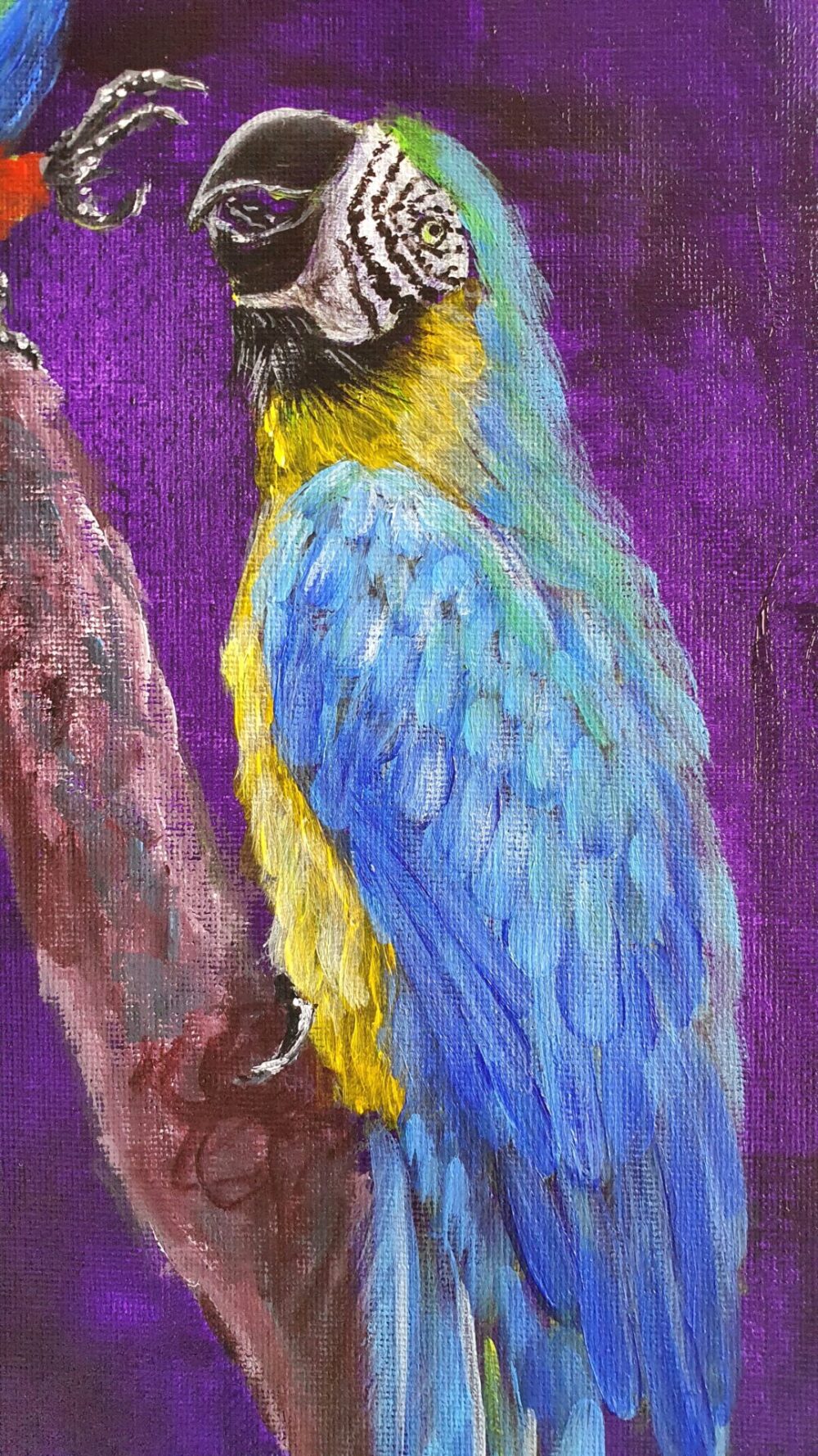 Original Acrylic Painting - Macaws in Conversation - Image 3