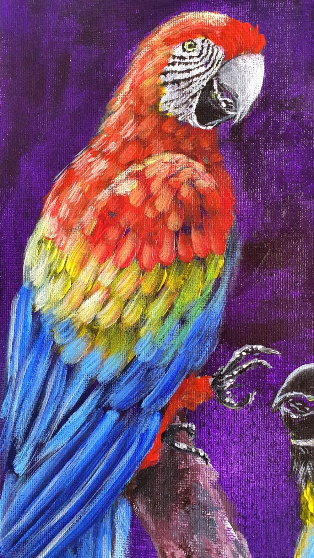 Original Acrylic Painting - Macaws in Conversation - Image 4