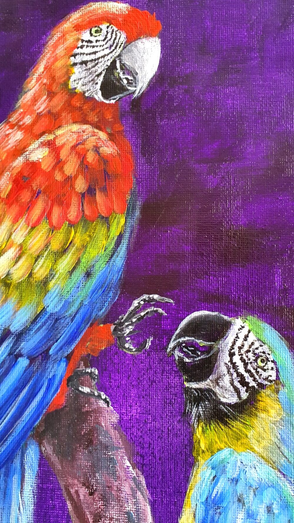 Original Acrylic Painting - Macaws in Conversation - Image 5