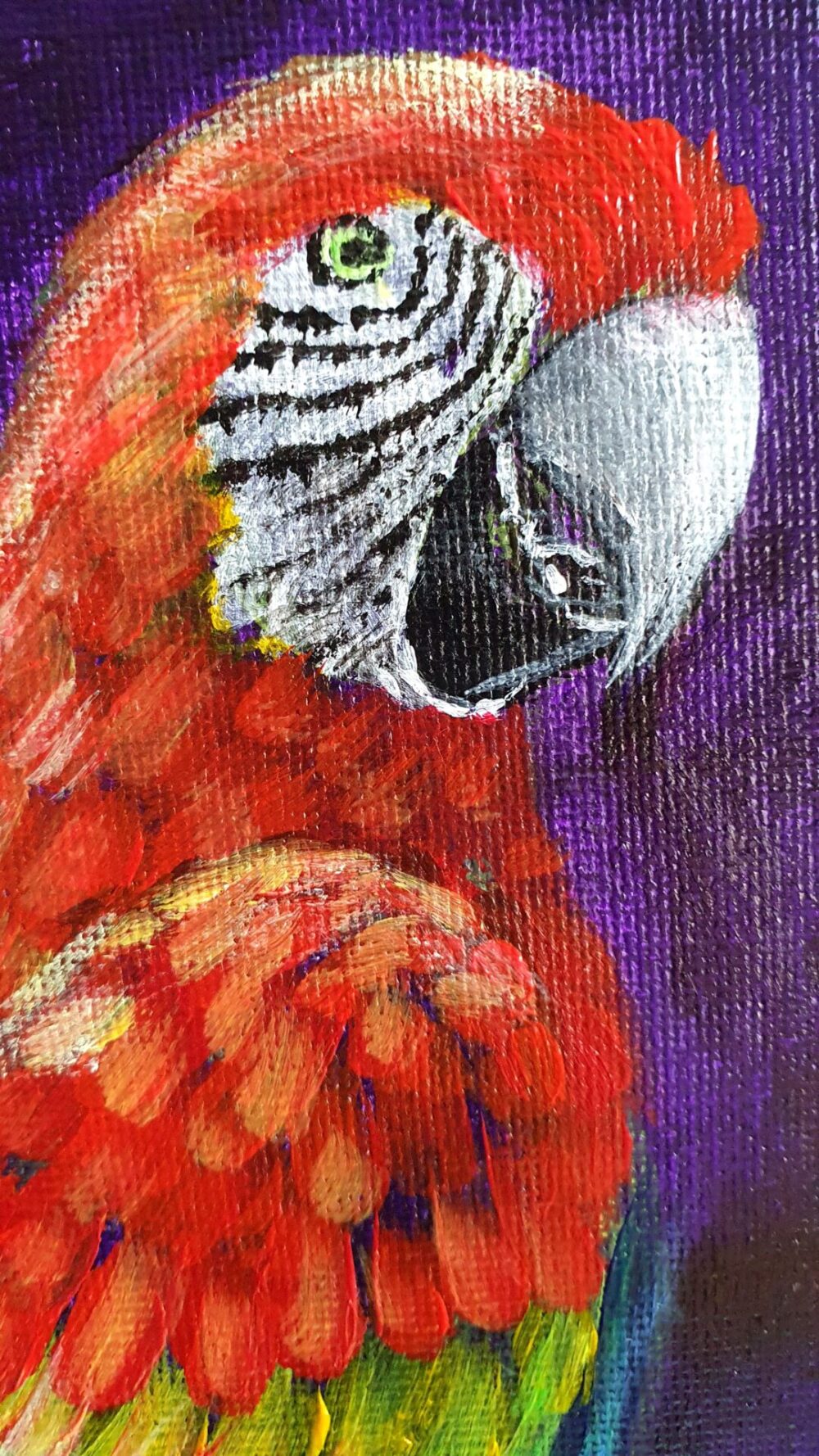 Original Acrylic Painting - Macaws in Conversation - Image 6