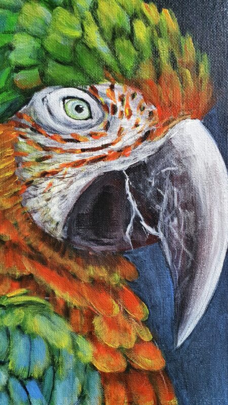 Danielle Art Original Acrylic and Oil Paintings Close-up oil painting of a colorful macaw parrot head with green, orange, and blue feathers.