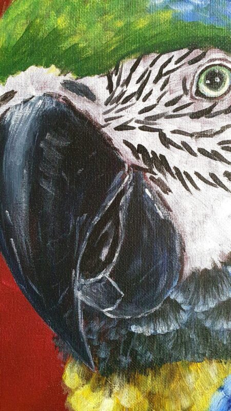 Danielle Art Original Acrylic and Oil Paintings Close-up painting of a blue and gold macaw parrot's head, showcasing its detailed feathers and beak.