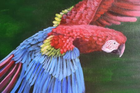 Danielle Art Original Acrylic and Oil Paintings Scarlet macaw in flight: Acrylic painting of a vibrant parrot with red, blue, and yellow feathers against a green background.