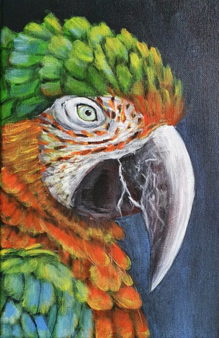 Danielle Art Original Acrylic and Oil Paintings Original Acrylic Painting of a colorful Macaw parrot with vibrant green, orange and white feathers.