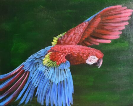 Danielle Art Original Acrylic and Oil Paintings Original Acrylic Painting – Macaw takes Flight: Vivid painting of a macaw in flight with red, blue, and yellow feathers.