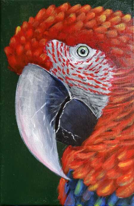 Danielle Art Original Acrylic and Oil Paintings Original Acrylic Painting – Macaw II: Close-up of a colorful red macaw with detailed feathers and a striking eye.