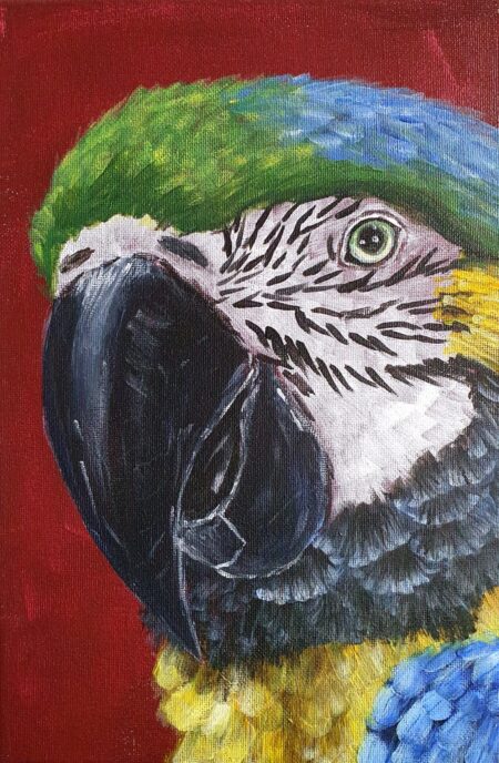 Danielle Art Original Acrylic and Oil Paintings Original Acrylic Painting – Macaw III: Close-up of a colorful macaw parrot with blue, yellow, and green feathers.