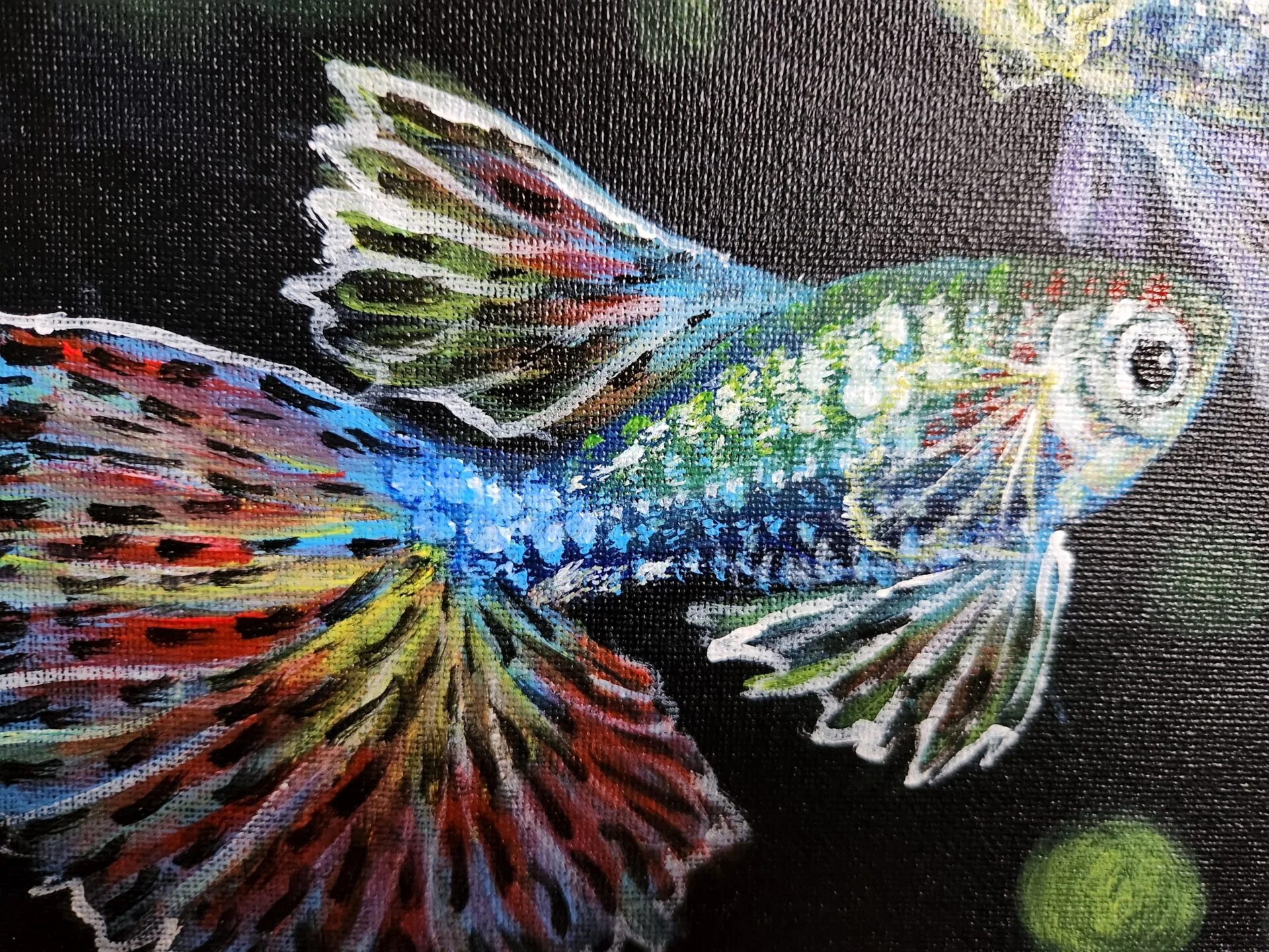 Danielle Art Original Acrylic and Oil Paintings Colorful guppy fish painting with intricate fin details against a dark background.