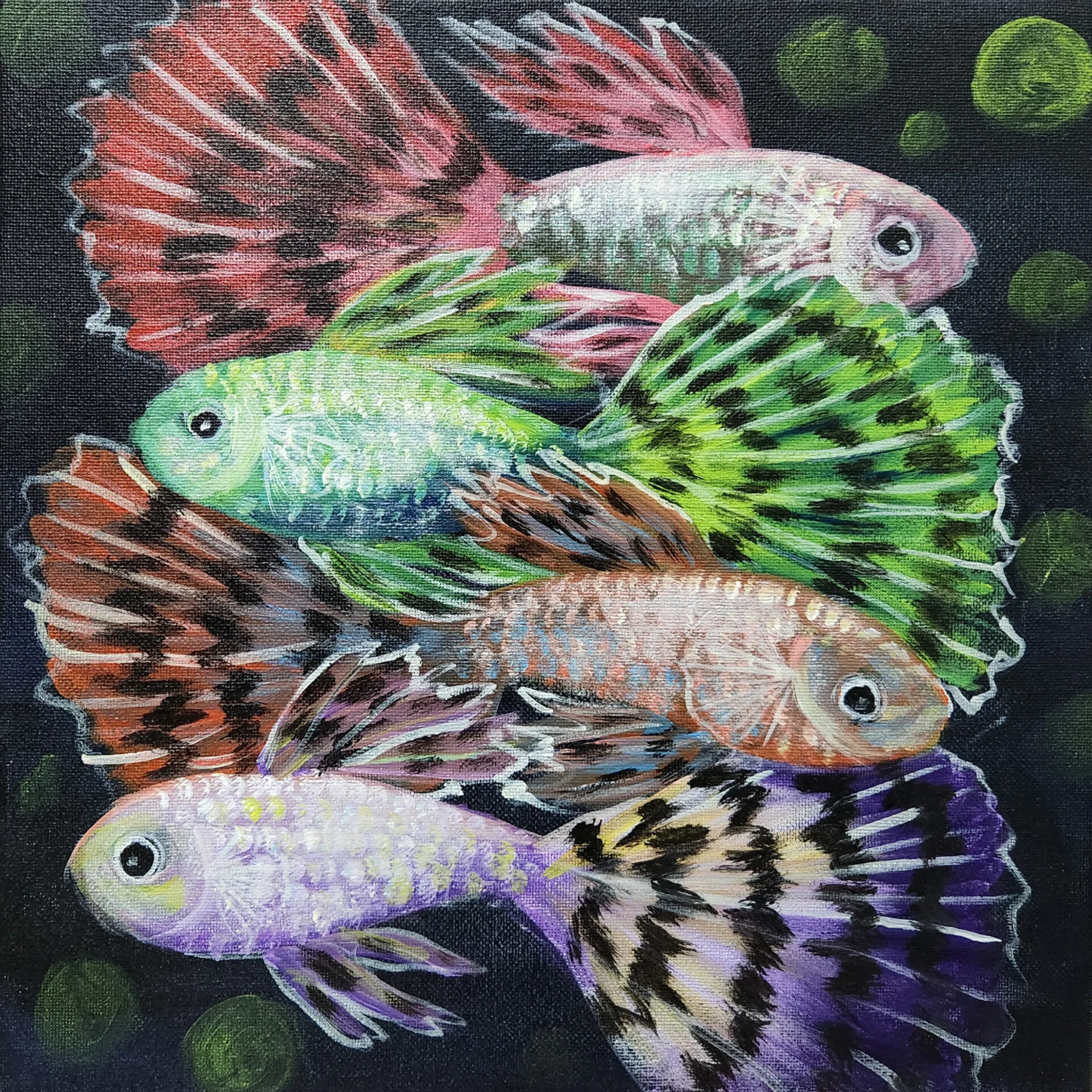 Guppies 5 painting with colourful guppies swimming against a dark background by Danielle Siauw