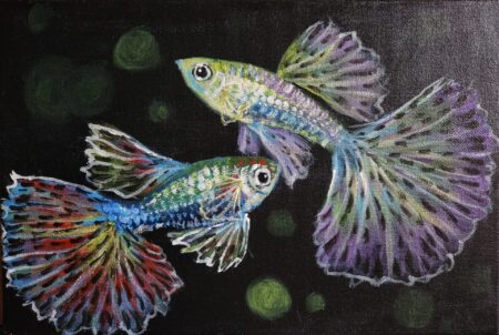 Danielle Art Original Acrylic and Oil Paintings Colourful Guppies 1 painting: Two guppies with translucent tails in black background.
