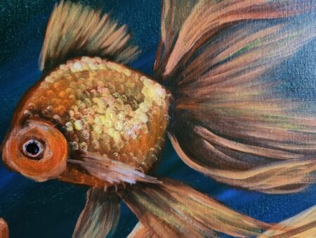 Danielle Art Original Acrylic and Oil Paintings Close-up oil painting of a vibrant orange goldfish with flowing fins against a blue background by Danielle Siauw.