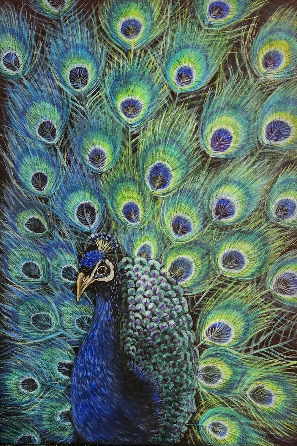 Birds of Paradise 4 - Peacock - Image 4