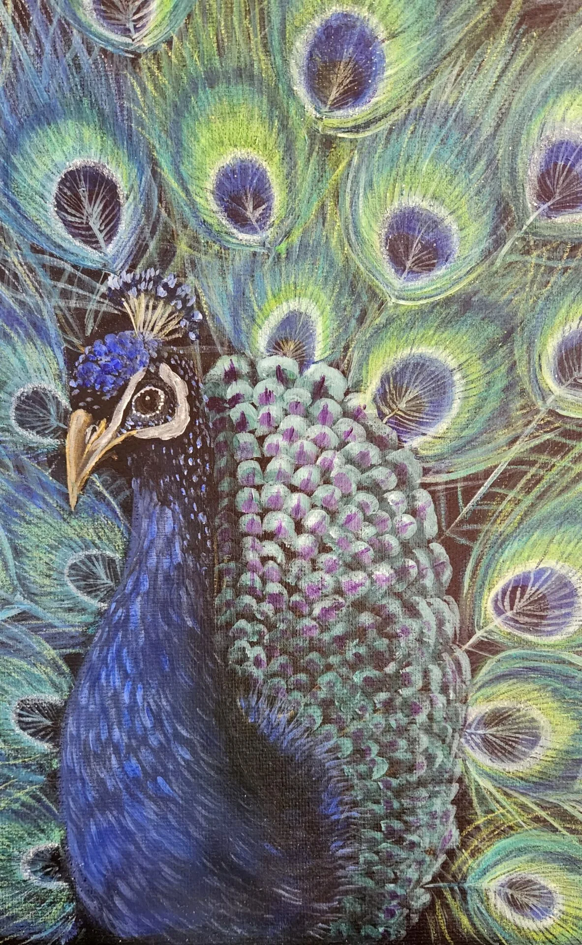Peacock painting with vibrant iridescent feathers from the Birds of Paradise series by Danielle Siauw