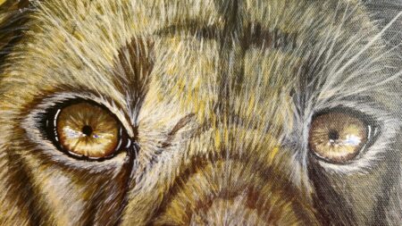 Danielle Art Original Acrylic and Oil Paintings Close-up of a lion's intense, golden eyes peering out from its mane.