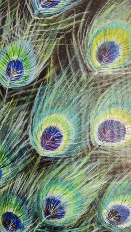 Danielle Art Original Acrylic and Oil Paintings Detailed painting of vibrant peacock feathers with iridescent colors.